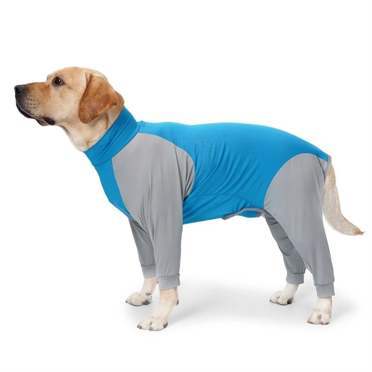 Dog Recovery Suit suppliers