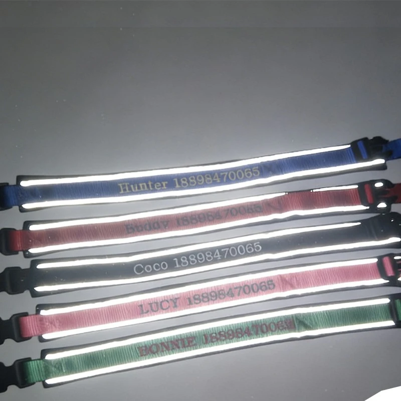 Premium Padded Personalized Dog Collar best