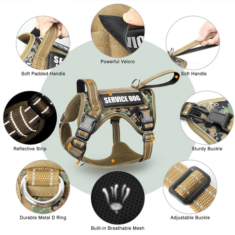 dog harness factory.jpg dog harness factory.jpg