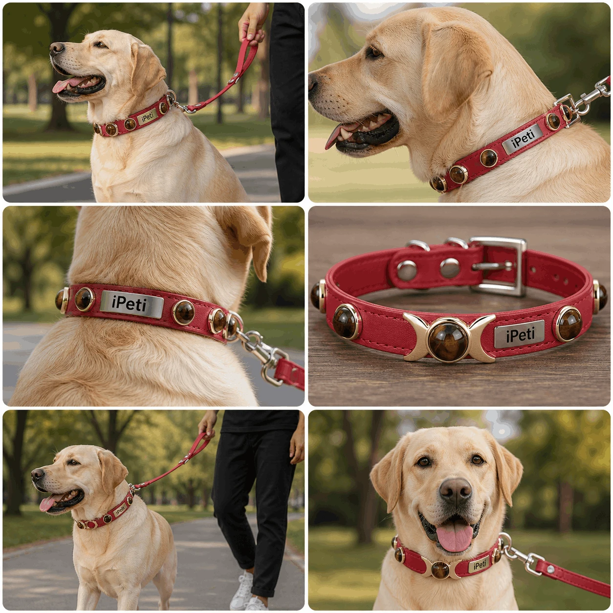 Amberstone PU Dog Collar Amberstone PU Dog Collar