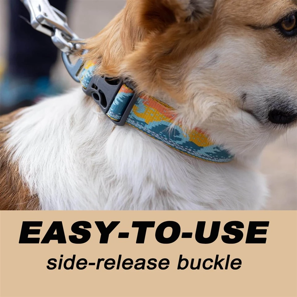 Wholesale Reflective And Comfortable Dog Collar